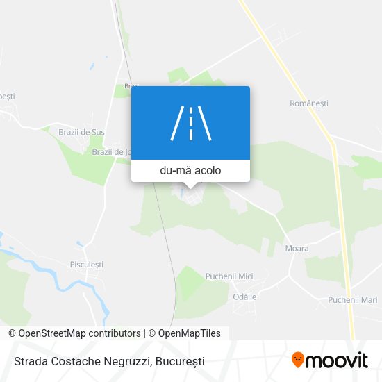 Hartă Strada Costache Negruzzi