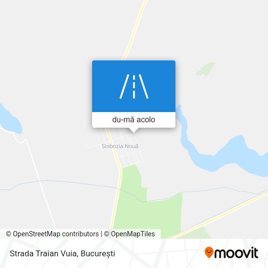 Hartă Strada Traian Vuia