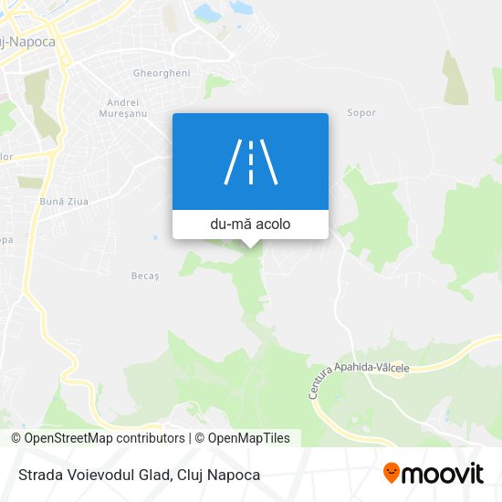Hartă Strada Voievodul Glad