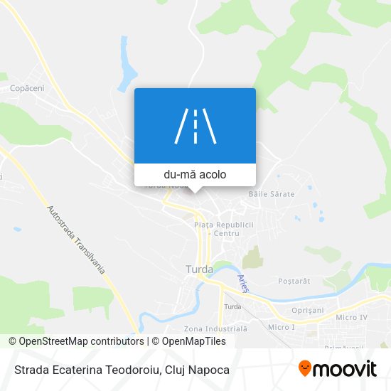 Hartă Strada Ecaterina Teodoroiu
