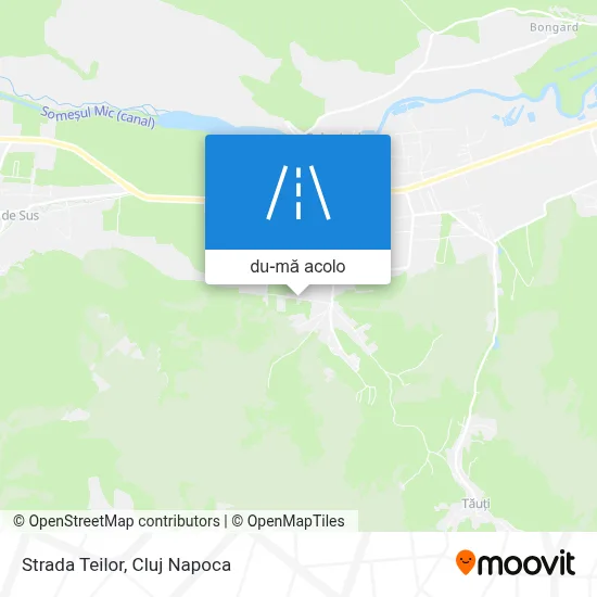 Hartă Strada Teilor