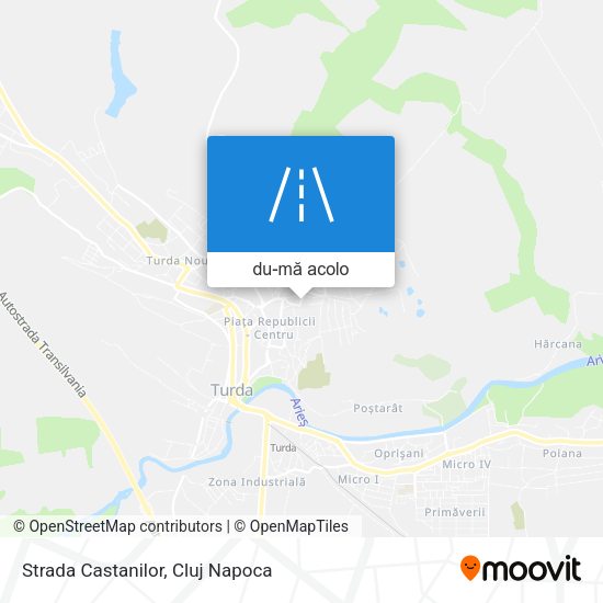 Hartă Strada Castanilor