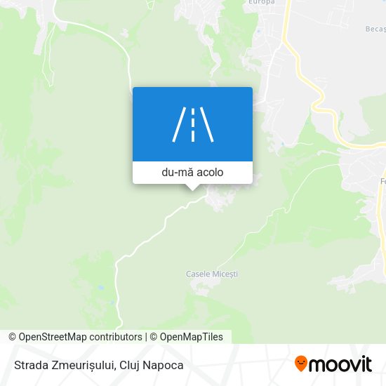 Hartă Strada Zmeurișului