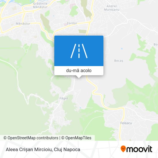 Hartă Aleea Crișan Mircioiu