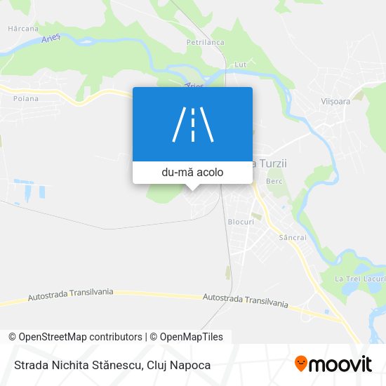 Hartă Strada Nichita Stănescu