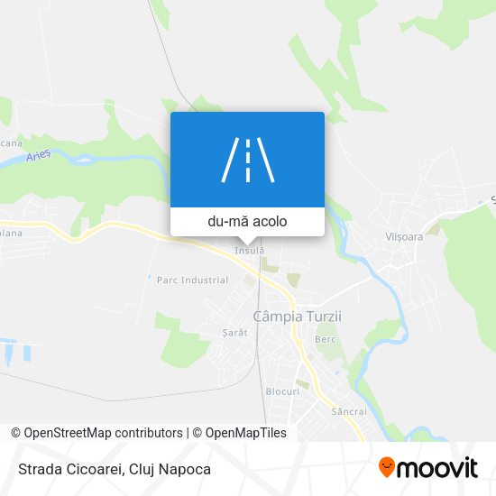 Hartă Strada Cicoarei