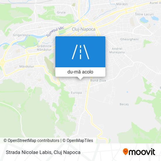 Hartă Strada Nicolae Labis