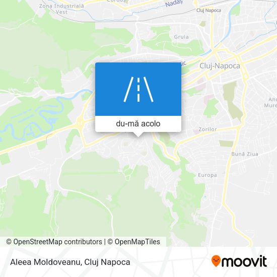 Hartă Aleea Moldoveanu