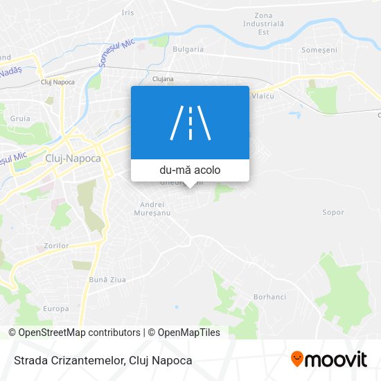 Hartă Strada Crizantemelor