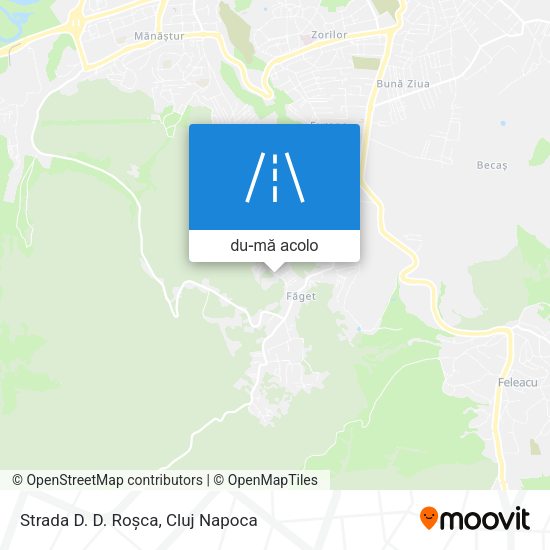 Hartă Strada D. D. Roșca