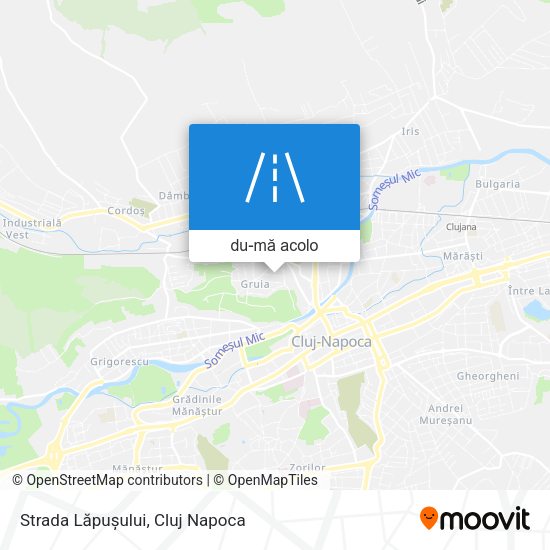 Hartă Strada Lăpușului