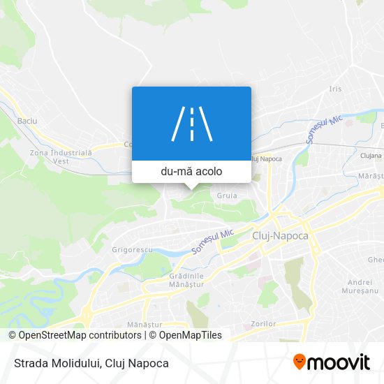 Hartă Strada Molidului