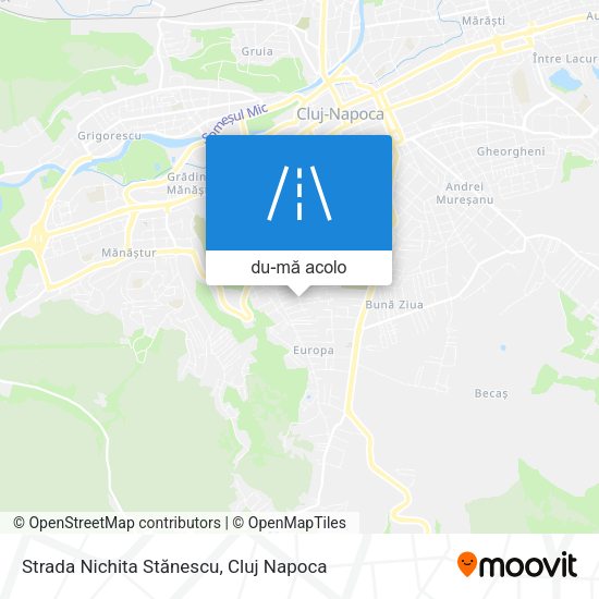 Hartă Strada Nichita Stănescu