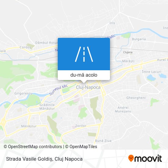 Hartă Strada Vasile Goldiș