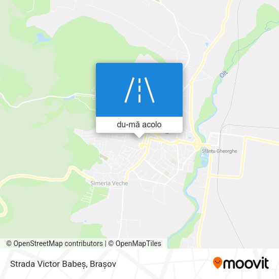 Hartă Strada Victor Babeș