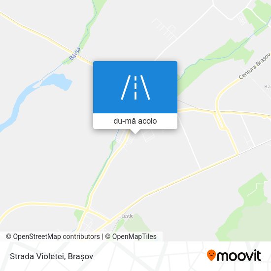 Hartă Strada Violetei