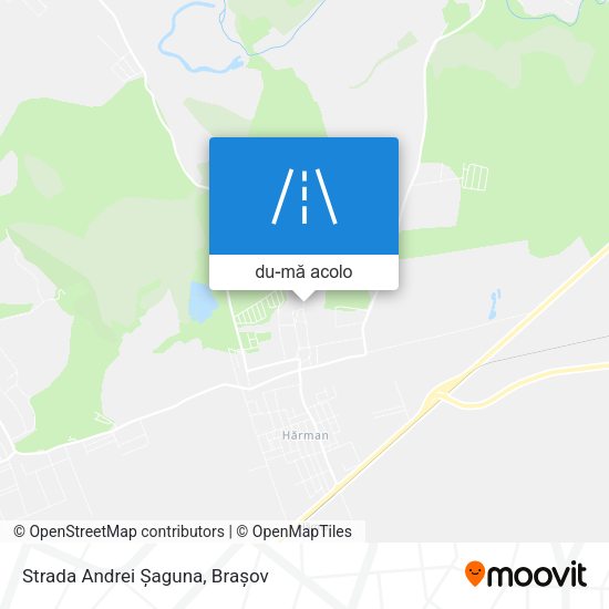 Hartă Strada Andrei Șaguna
