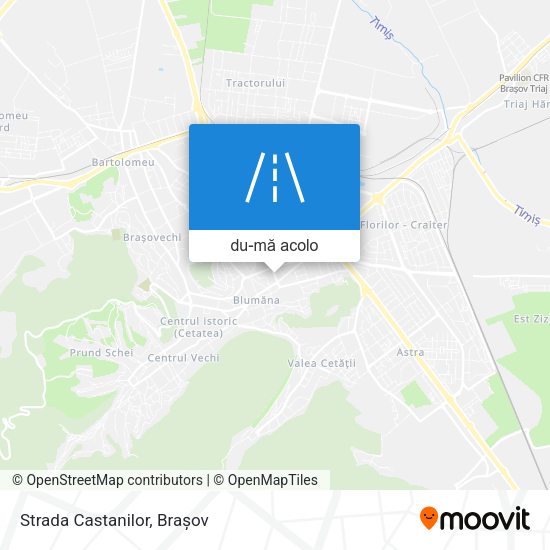 Hartă Strada Castanilor