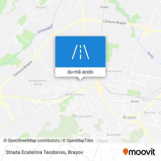 Hartă Strada Ecaterina Teodoroiu