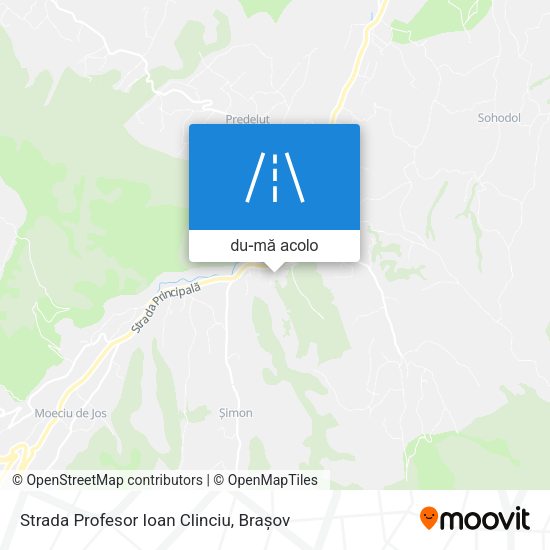 Hartă Strada Profesor Ioan Clinciu