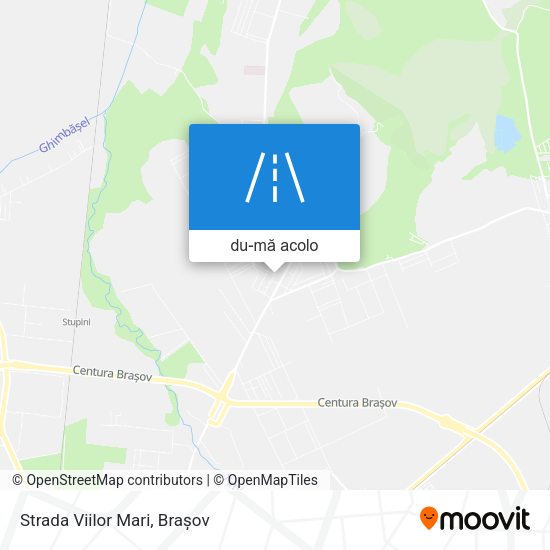 Hartă Strada Viilor Mari
