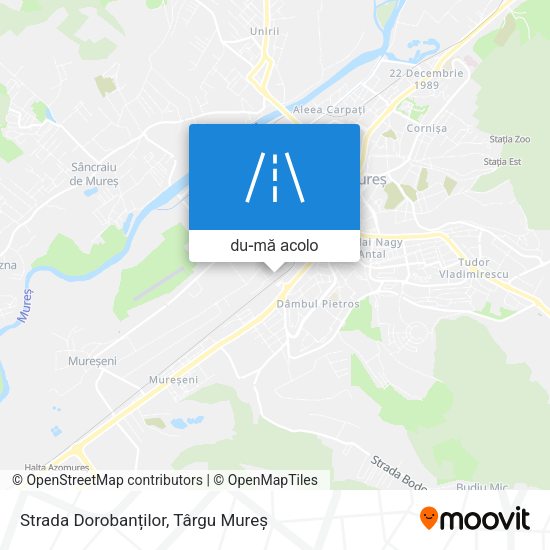 Hartă Strada Dorobanților