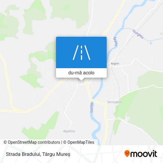 Hartă Strada Bradului