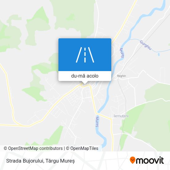 Hartă Strada Bujorului