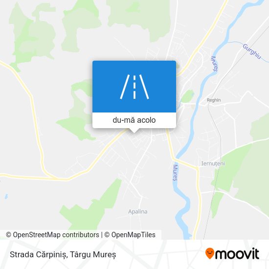 Hartă Strada Cărpiniș