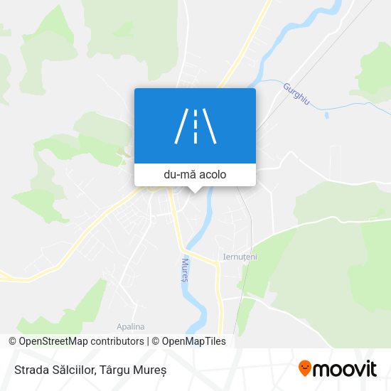 Hartă Strada Sălciilor