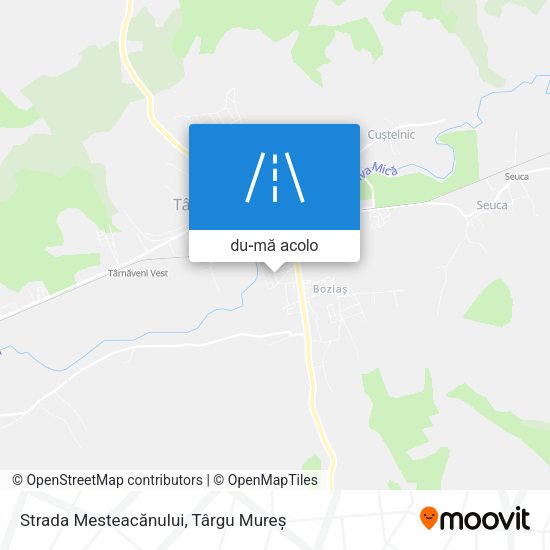 Hartă Strada Mesteacănului