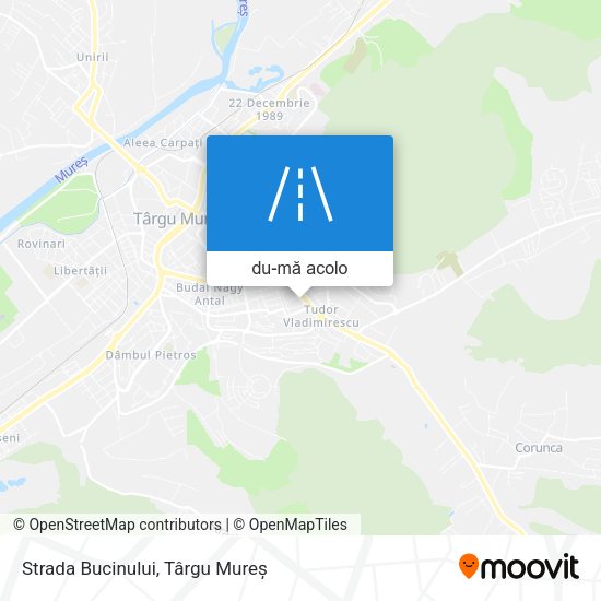 Hartă Strada Bucinului