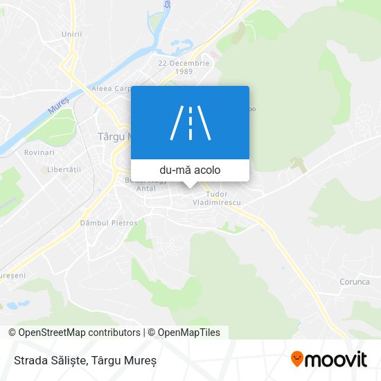 Hartă Strada Săliște