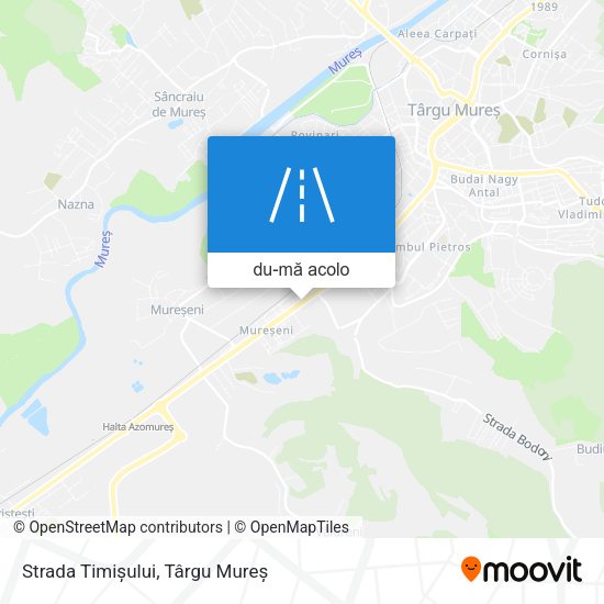 Hartă Strada Timișului