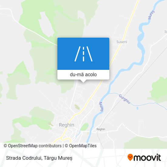 Hartă Strada Codrului