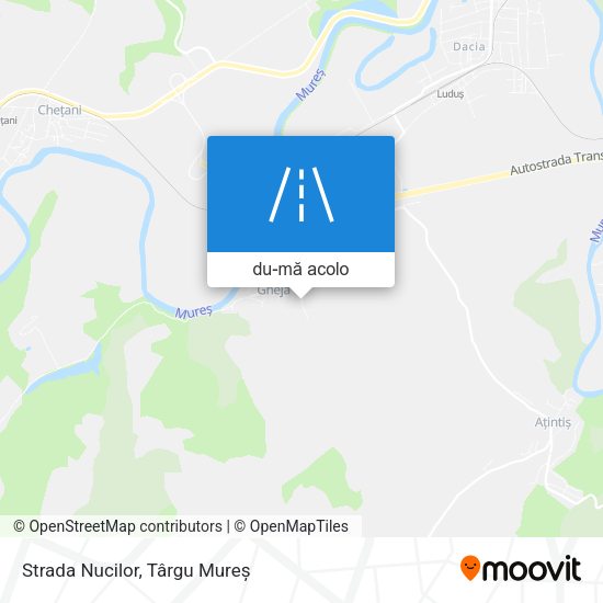 Hartă Strada Nucilor