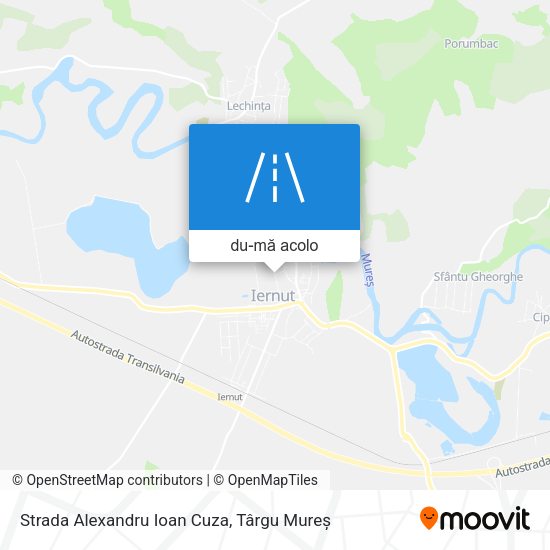 Hartă Strada Alexandru Ioan Cuza