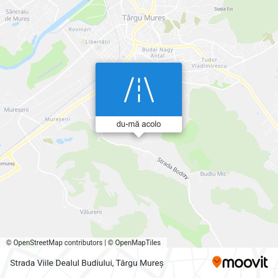 Hartă Strada Viile Dealul Budiului