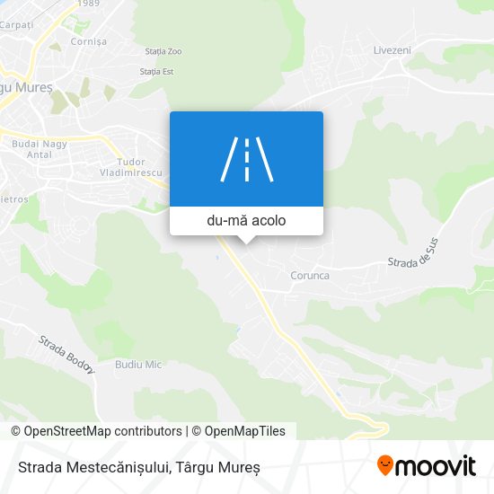 Hartă Strada Mestecănișului