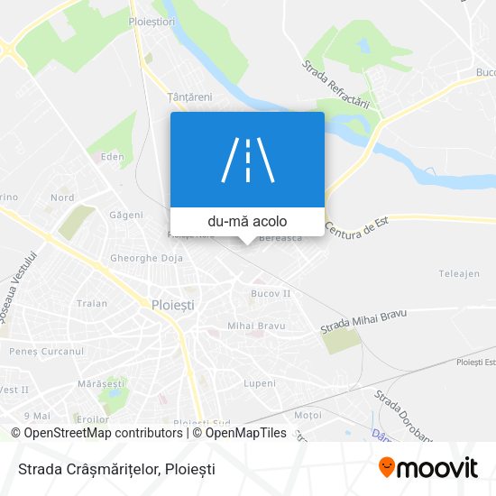 Hartă Strada Crâșmărițelor