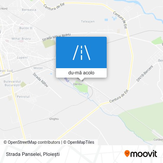 Hartă Strada Panselei