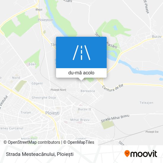 Hartă Strada Mesteacănului