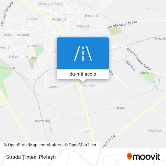 Hartă Strada Țintea