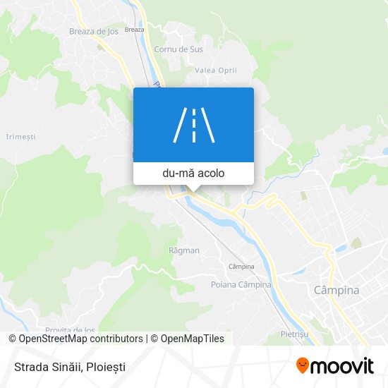 Hartă Strada Sinăii