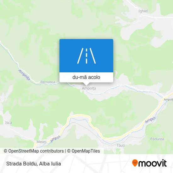 Hartă Strada Boldu