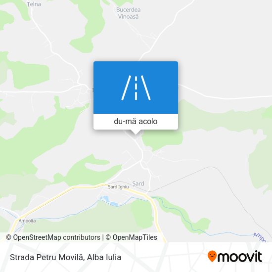 Hartă Strada Petru Movilă