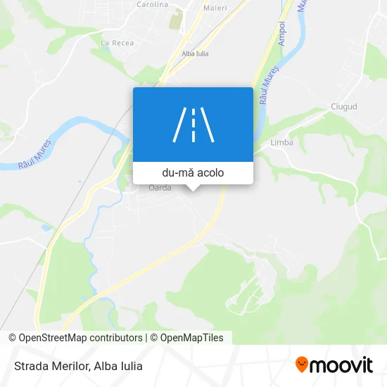 Hartă Strada Merilor