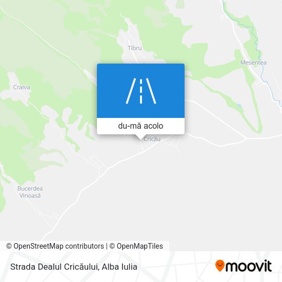 Hartă Strada Dealul Cricăului