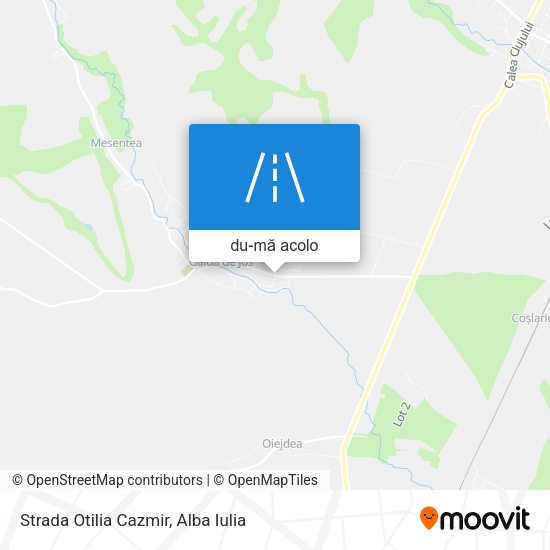 Hartă Strada Otilia Cazmir