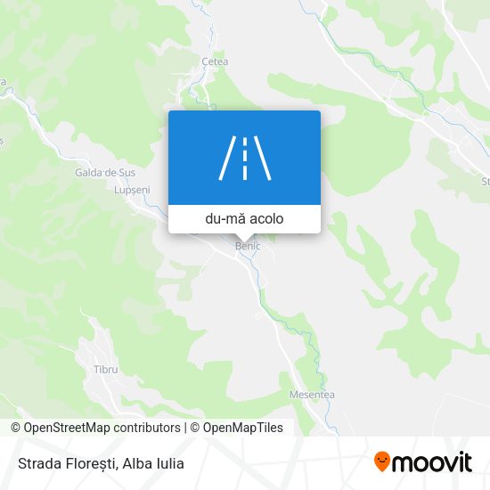 Hartă Strada Florești